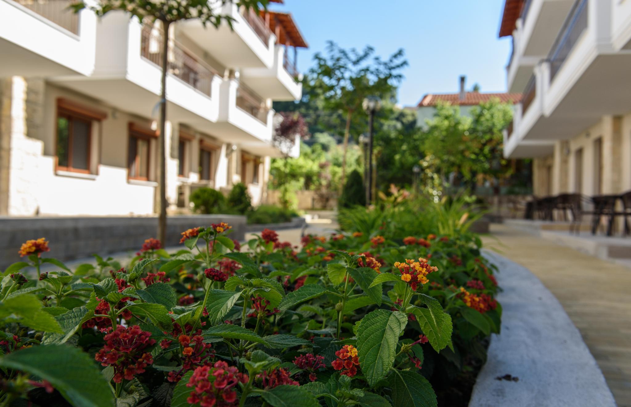Apanemia By Flegra Hotels Пефкохори Екстериор снимка